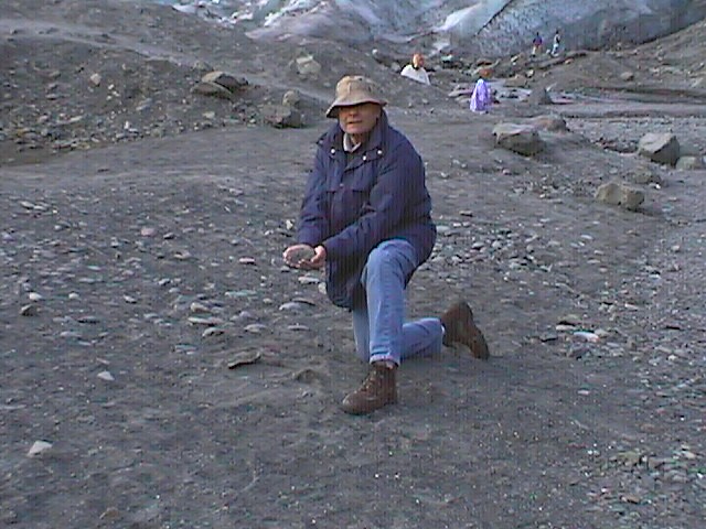 Dr Gail Terrell